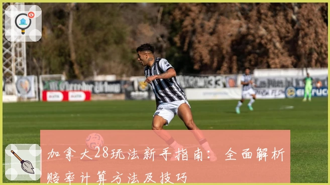 加拿大28玩法新手指南：全面解析赔率计算方法及技巧