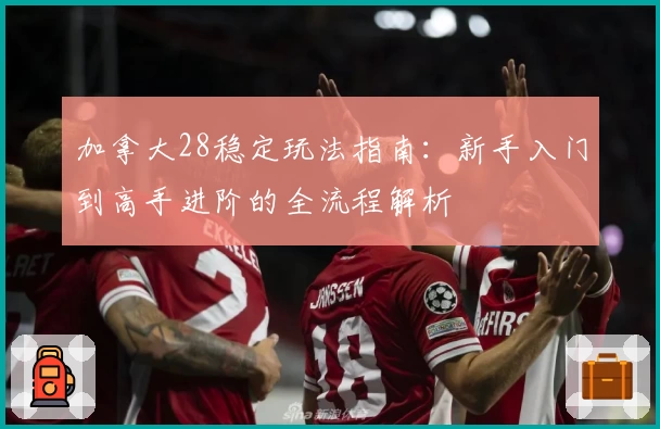 加拿大28稳定玩法指南：新手入门到高手进阶的全流程解析