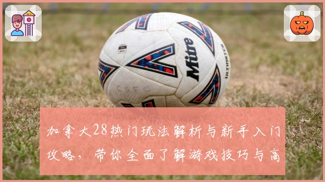 加拿大28热门玩法解析与新手入门攻略,带你全面了解游戏技巧与高级策略