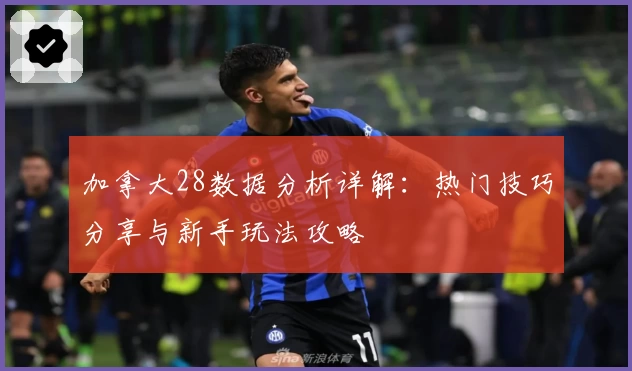 加拿大28数据分析详解:热门技巧分享与新手玩法攻略