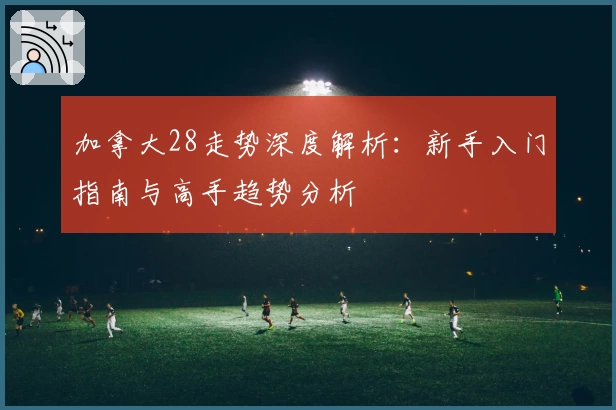加拿大28走势深度解析：新手入门指南与高手趋势分析