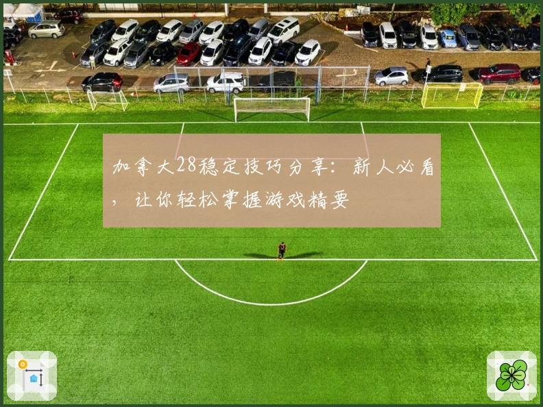 加拿大28稳定技巧分享：新人必看，让你轻松掌握游戏精要