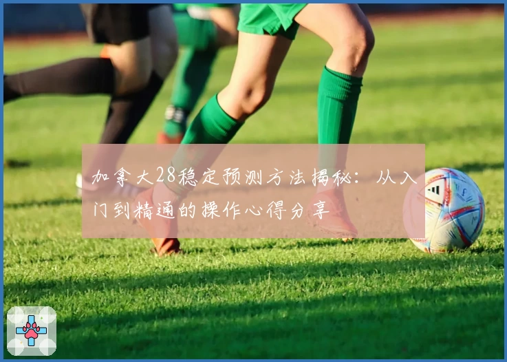 加拿大28稳定预测方法揭秘：从入门到精通的操作心得分享