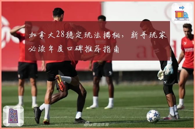 加拿大28稳定玩法揭秘，新手玩家必读年度口碑推荐指南