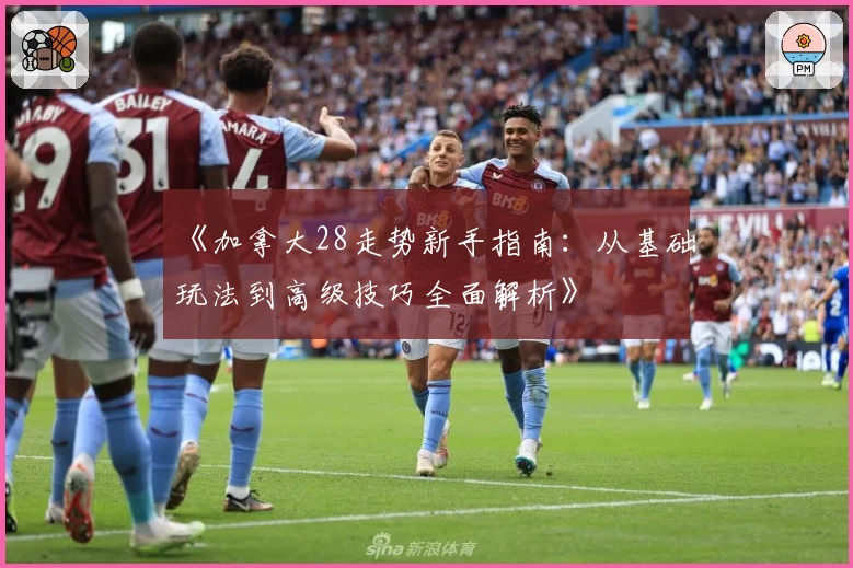 《加拿大28走势新手指南：从基础玩法到高级技巧全面解析》