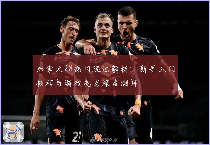 加拿大28热门玩法解析:新手入门教程与游戏亮点深度测评