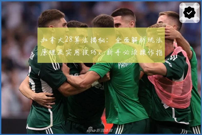 加拿大28算法揭秘：全面解析玩法原理及实用技巧，新手必读操作指南