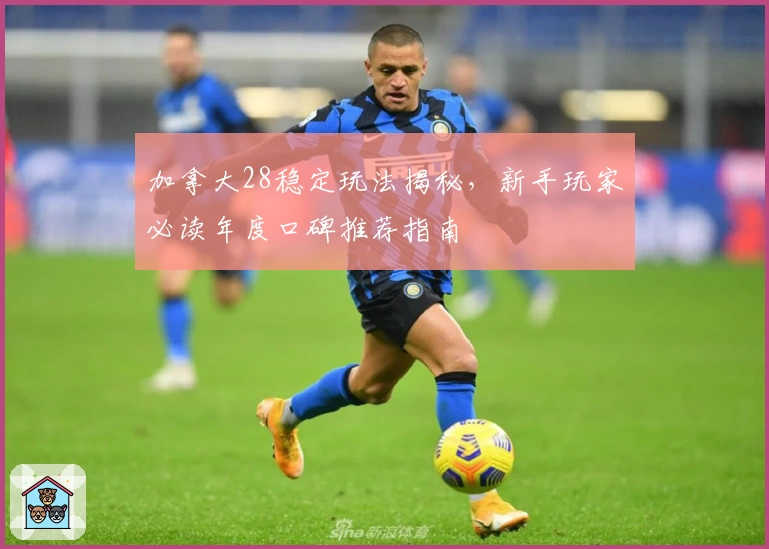 加拿大28稳定玩法揭秘，新手玩家必读年度口碑推荐指南