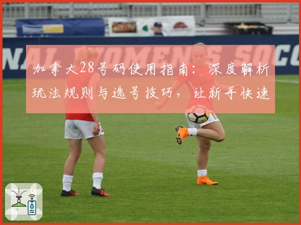 加拿大28号码使用指南：深度解析玩法规则与选号技巧，让新手快速上手