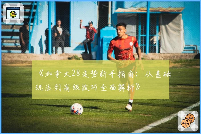 《加拿大28走势新手指南：从基础玩法到高级技巧全面解析》