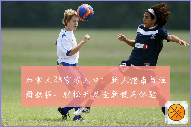 加拿大28官方入口：新人指南与注册教程，轻松开启全新使用体验