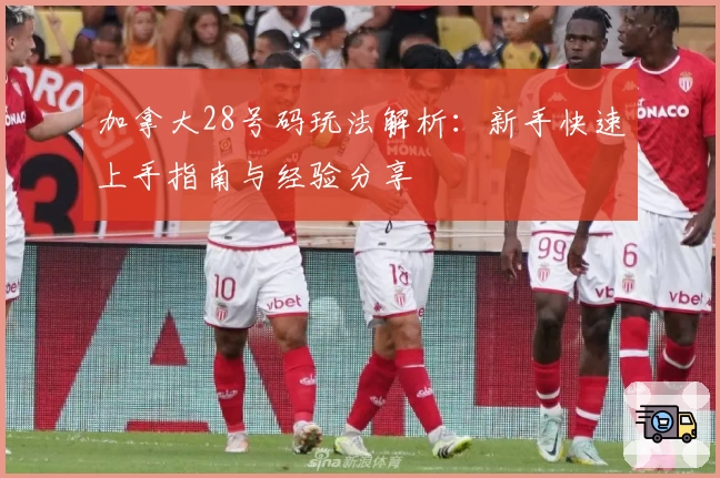 加拿大28号码玩法解析：新手快速上手指南与经验分享