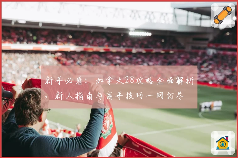 新手必看：加拿大28攻略全面解析，新人指南与高手技巧一网打尽