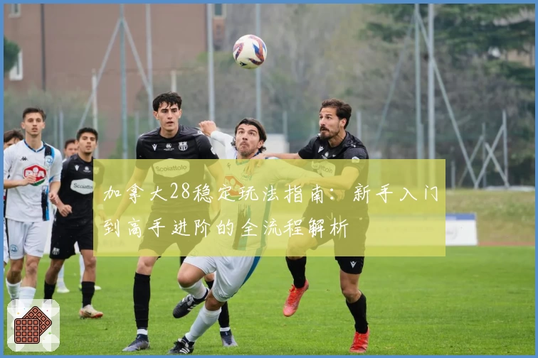 加拿大28稳定玩法指南：新手入门到高手进阶的全流程解析