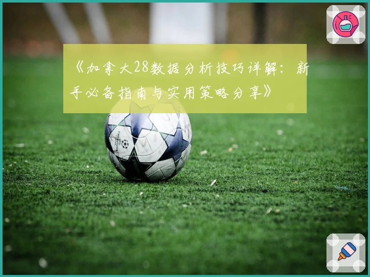 《加拿大28数据分析技巧详解：新手必备指南与实用策略分享》
