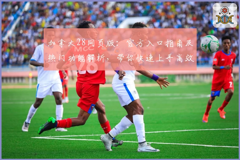 加拿大28网页版：官方入口指南及热门功能解析，带你快速上手高效体验