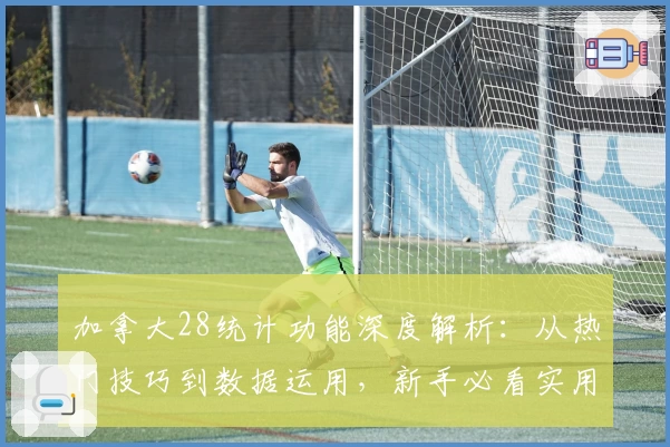 加拿大28统计功能深度解析:从热门技巧到数据运用,新手必看实用指南