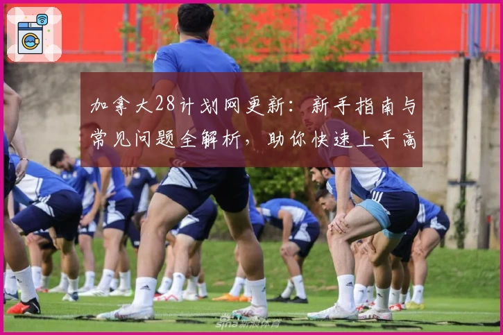 加拿大28计划网更新:新手指南与常见问题全解析,助你快速上手高效体验