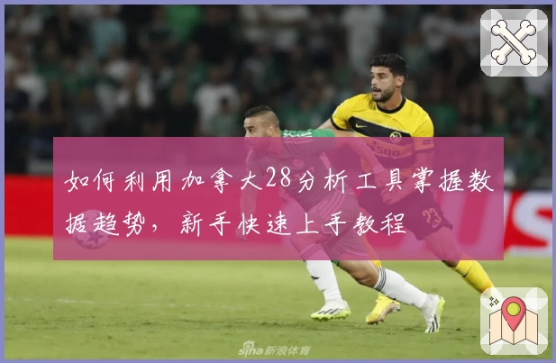 如何利用加拿大28分析工具掌握数据趋势，新手快速上手教程