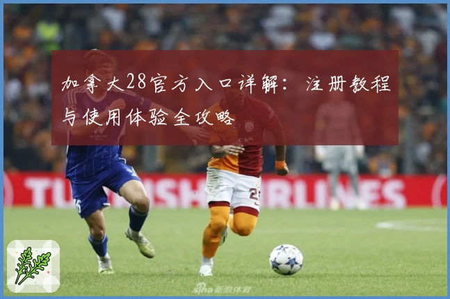 加拿大28官方入口详解：注册教程与使用体验全攻略