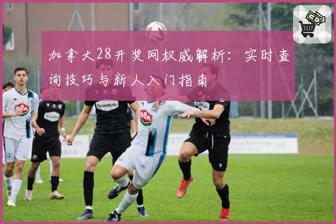 加拿大28开奖网权威解析:实时查询技巧与新人入门指南