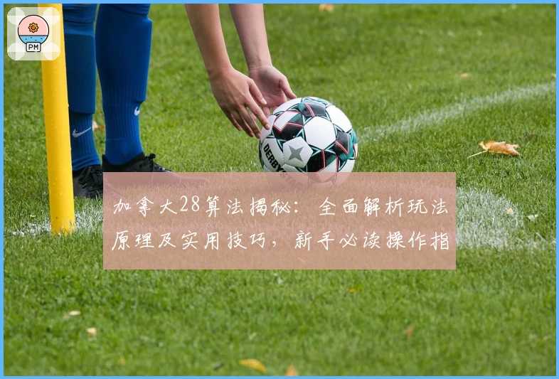 加拿大28算法揭秘：全面解析玩法原理及实用技巧，新手必读操作指南