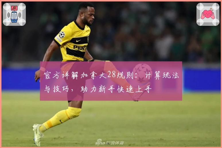 官方详解加拿大28规则:计算玩法与技巧,助力新手快速上手