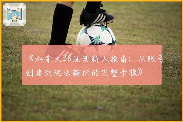 《加拿大28注册新人指南:从账号创建到玩法解析的完整步骤》