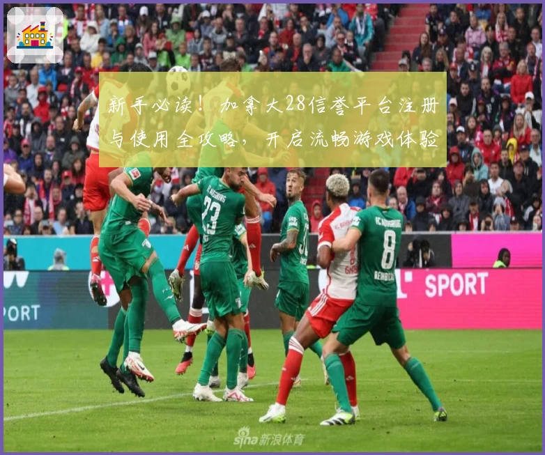 新手必读!加拿大28信誉平台注册与使用全攻略,开启流畅游戏体验