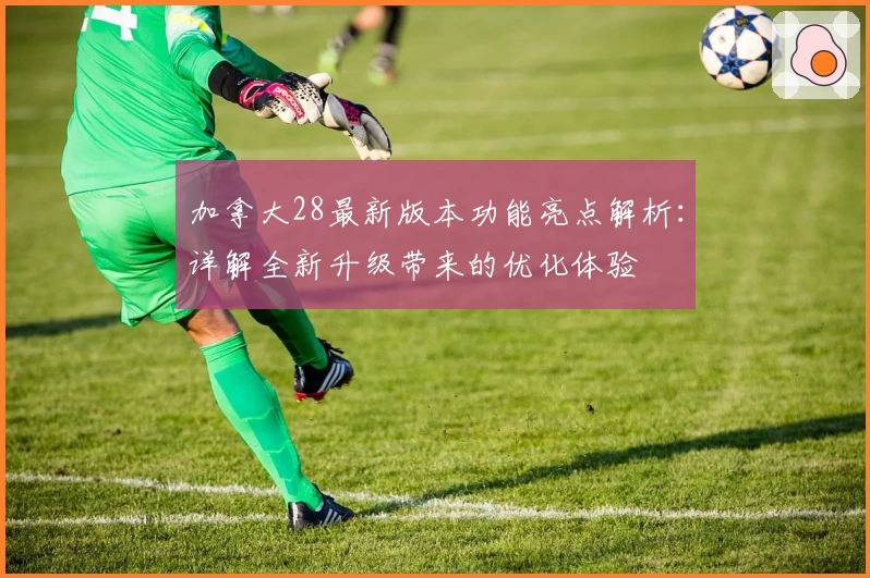 加拿大28最新版本功能亮点解析：详解全新升级带来的优化体验