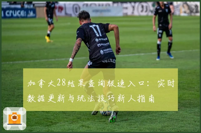 加拿大28结果查询极速入口:实时数据更新与玩法技巧新人指南