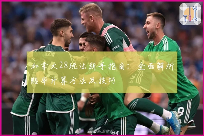 加拿大28玩法新手指南：全面解析赔率计算方法及技巧