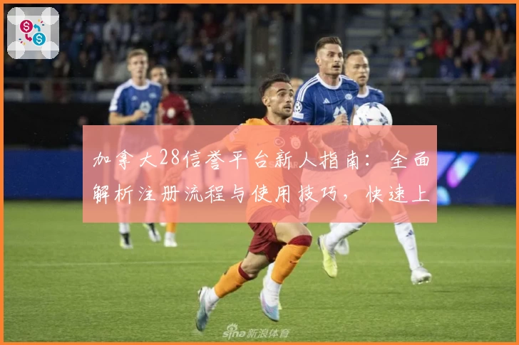 加拿大28信誉平台新人指南:全面解析注册流程与使用技巧,快速上手零门槛