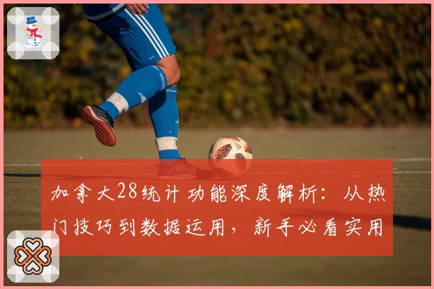 加拿大28统计功能深度解析:从热门技巧到数据运用,新手必看实用指南