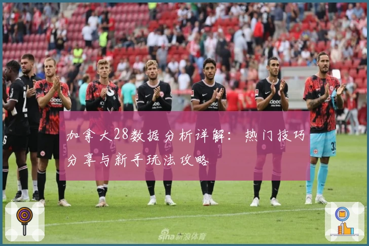 加拿大28数据分析详解:热门技巧分享与新手玩法攻略