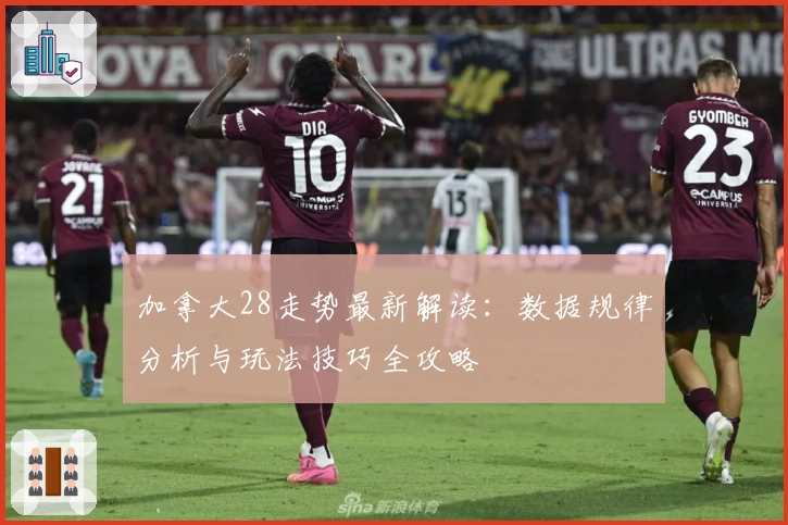 加拿大28走势最新解读：数据规律分析与玩法技巧全攻略