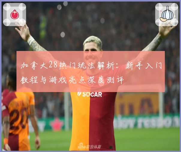 加拿大28热门玩法解析:新手入门教程与游戏亮点深度测评