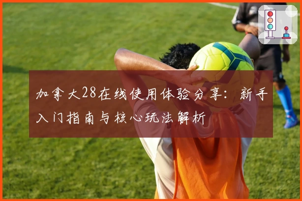 加拿大28在线使用体验分享：新手入门指南与核心玩法解析