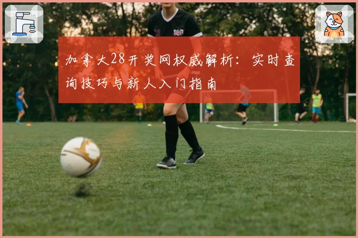 加拿大28开奖网权威解析:实时查询技巧与新人入门指南
