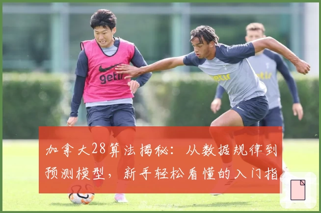 加拿大28算法揭秘：从数据规律到预测模型，新手轻松看懂的入门指南