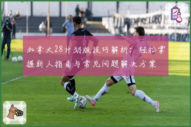 加拿大28计划版技巧解析：轻松掌握新人指南与常见问题解决方案