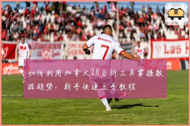 如何利用加拿大28分析工具掌握数据趋势，新手快速上手教程