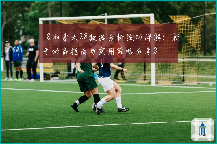 《加拿大28数据分析技巧详解：新手必备指南与实用策略分享》