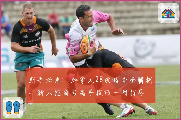 新手必看：加拿大28攻略全面解析，新人指南与高手技巧一网打尽