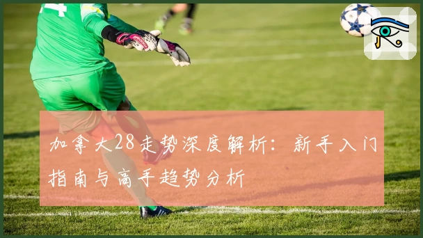 加拿大28走势深度解析：新手入门指南与高手趋势分析