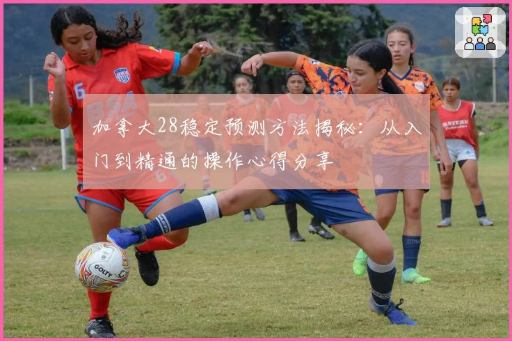 加拿大28稳定预测方法揭秘：从入门到精通的操作心得分享