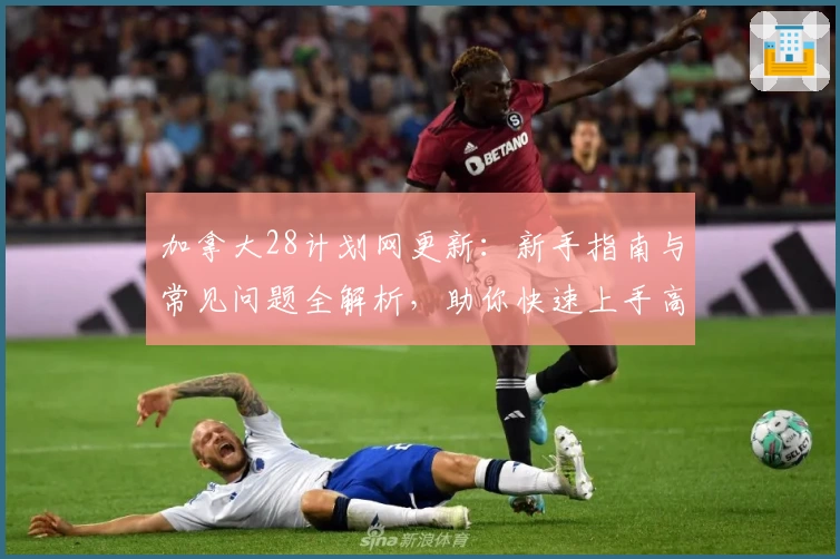 加拿大28计划网更新:新手指南与常见问题全解析,助你快速上手高效体验
