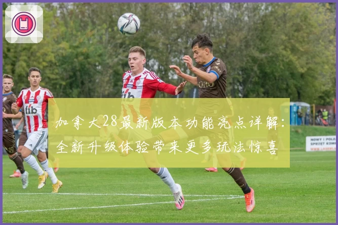 加拿大28最新版本功能亮点详解:全新升级体验带来更多玩法惊喜