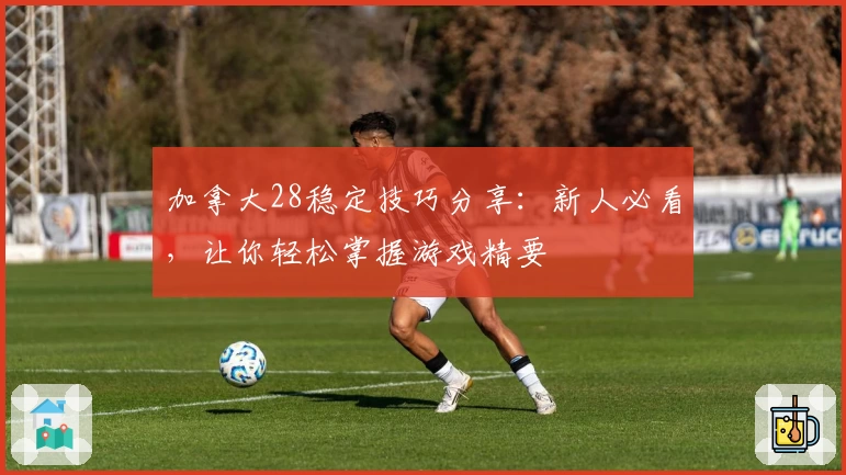 加拿大28稳定技巧分享：新人必看，让你轻松掌握游戏精要